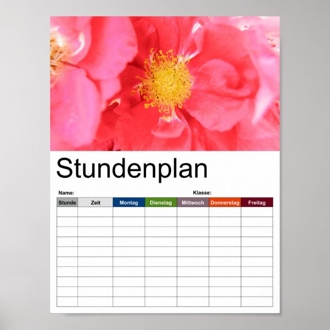 Pôster Horário dos Rosas de Bush (Frente)