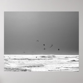 Poster Horizonte do oceano Negro e Branco e Pelicanos Mar