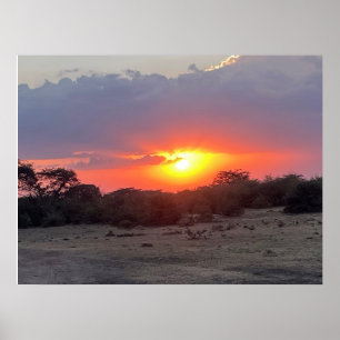 Poster Horizonte Dourado – Pôr do Sol na Savana Africana