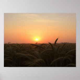 Poster Horizontes Dourados: O Brilho Suave do Pôr do Sol