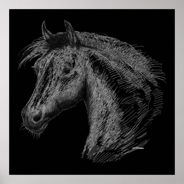 Pôster Horse:  Black (Frente)
