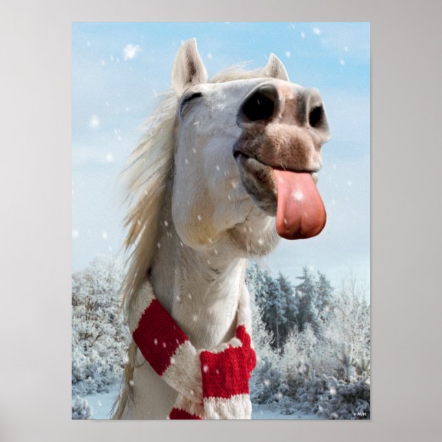 Poster Horse Catching Snowflakes (Frente)