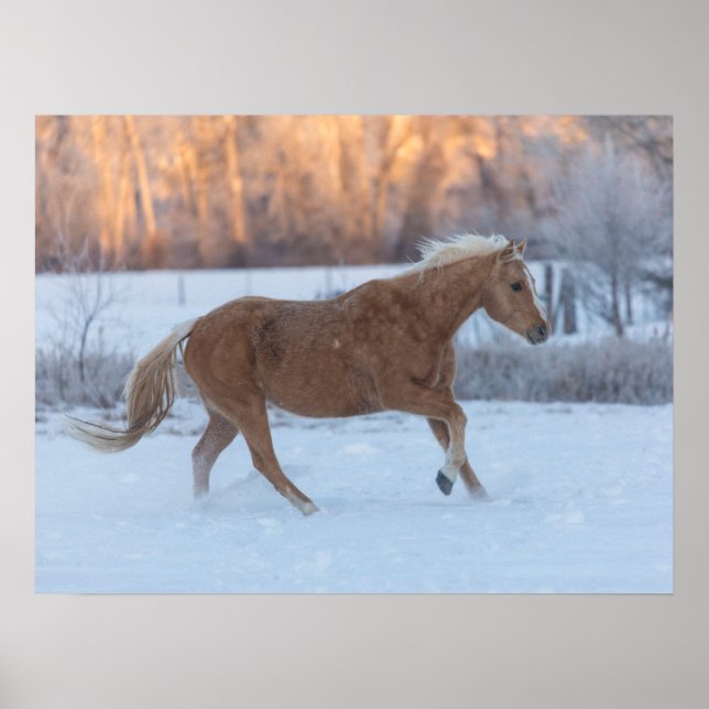 Poster Horse Drive in Winter on Hideout Ranch (Frente)