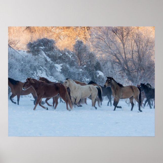 Poster Horse Drive in Winter on Hideout Ranch (Frente)
