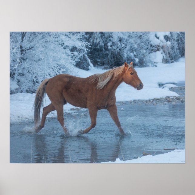 Poster Horse Drive no inverno em Hideout Ranc (Frente)