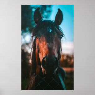 POSTER HORSE PORTRAIT