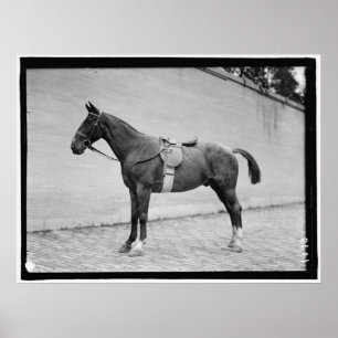 Pôster Horse Show 1912
