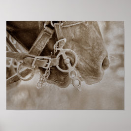Poster Horse Western Vintage Sépia Rustic