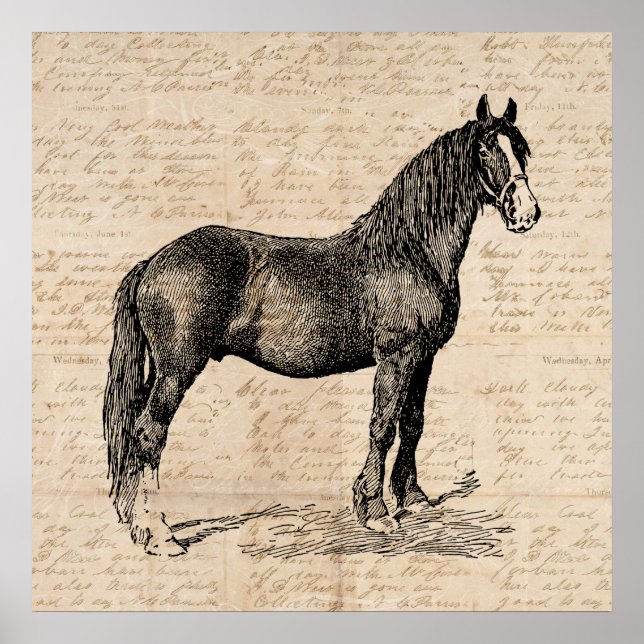 Poster Horse with Script Paper (Frente)