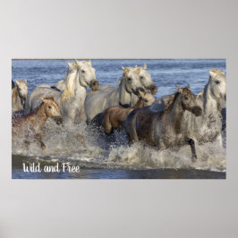 Poster Horses galloping in the water