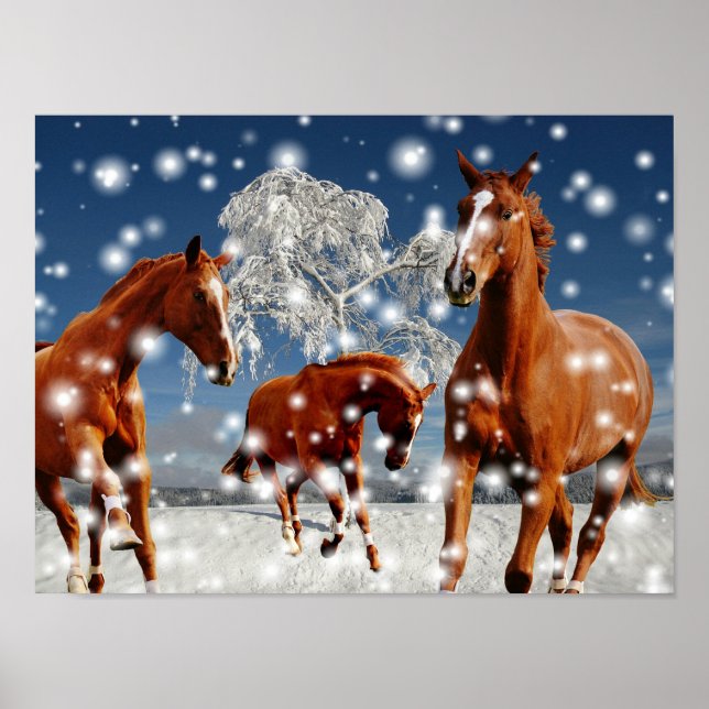 Poster Horses Playing In Snow (Frente)