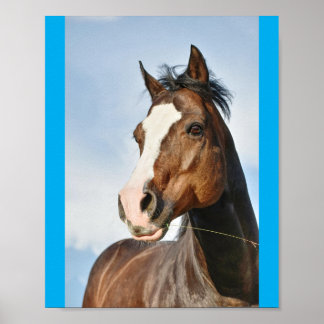 Poster horsie cute