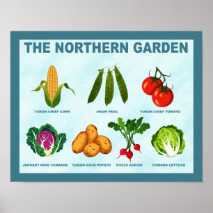 Poster Horta do Norte
