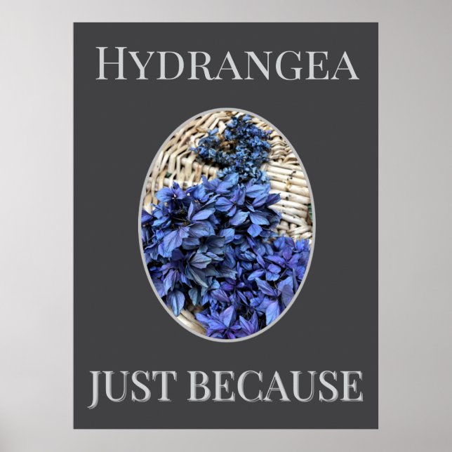 Poster Hortênsia AZUL (Frente)