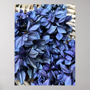 Poster Hortênsia AZUL