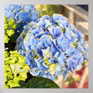 Poster Hortênsia Azul Pálido Estudo Botânico Pintado