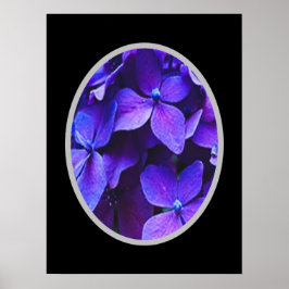 Poster Hortênsia AZUL VERMELHA