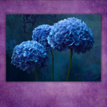 Hortênsia Floral Botânica Azul Ousada Dramática