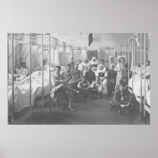 Pôster Hospital Francês