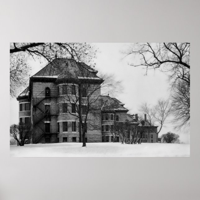 PÔSTER HOSPITAL IOWA PARA A INSANE (Frente)