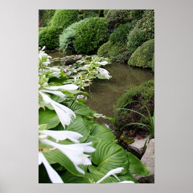 Poster Hosta em um Jardim Zen (Frente)