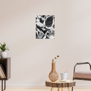 Poster Hosta Variegada Floral Preto e Branco