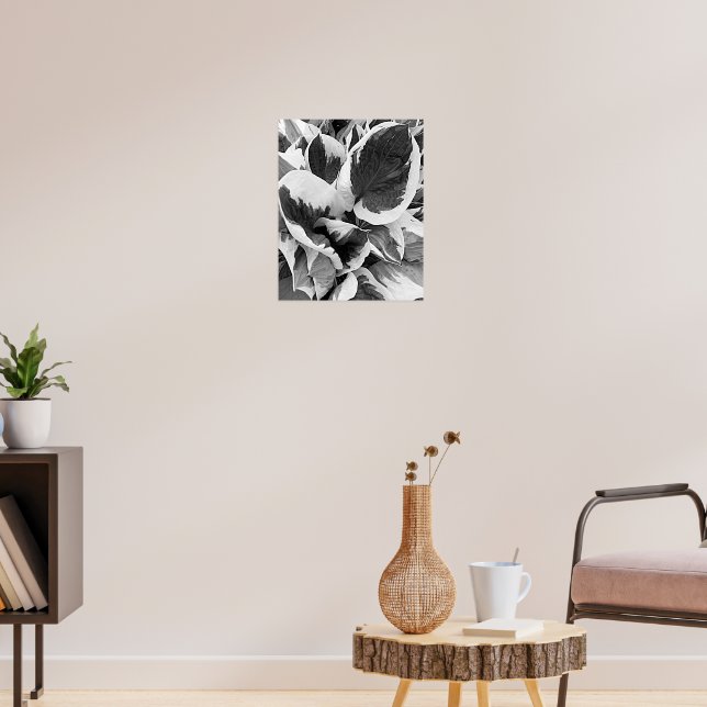 Poster Hosta Variegada Floral Preto e Branco (Sala de Estar 3)