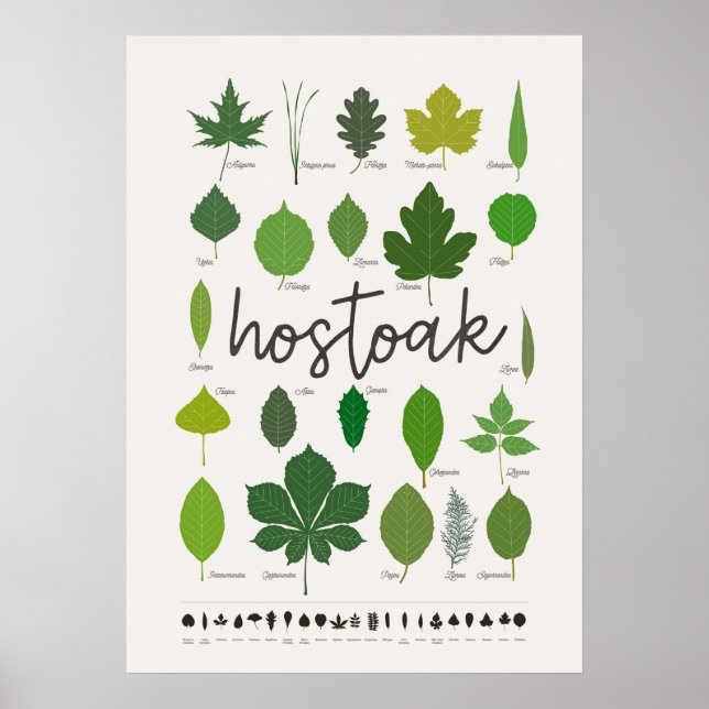 Poster Hostoak ・ Hojas (Frente)