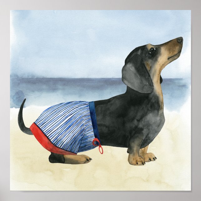 Poster Hot Dog | Puppy In Swimming Trunks (Frente)