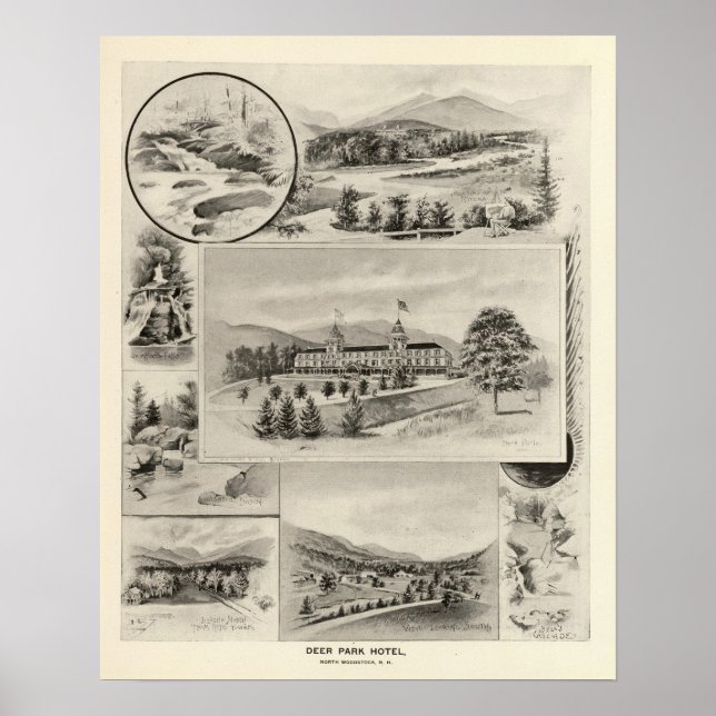 Pôster Hotel Deer Park (Frente)