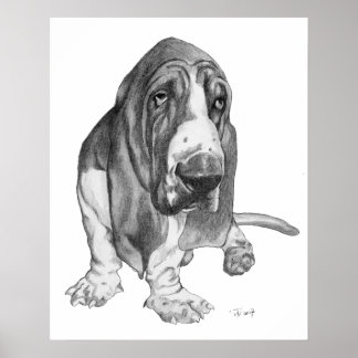 Poster Hound Basset