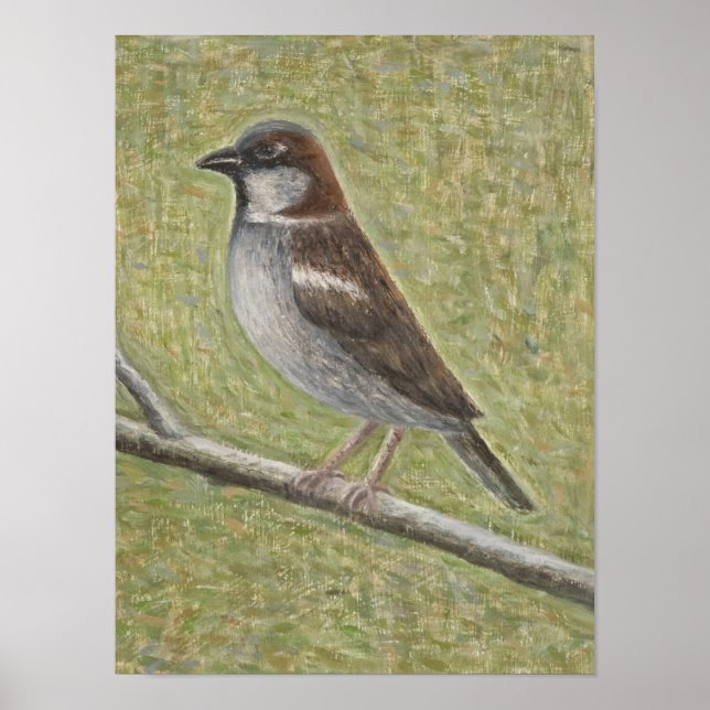 Pôster House Sparrow 2008 (Frente)