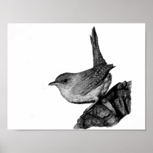 Pôster House Wren
