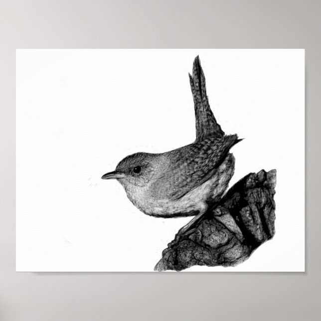 Pôster House Wren (Frente)