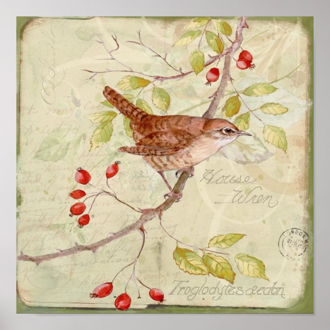 Pôster House Wren Collage (Frente)