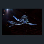 Poster Houston Museum of Natural Science<br><div class="desc"></div>