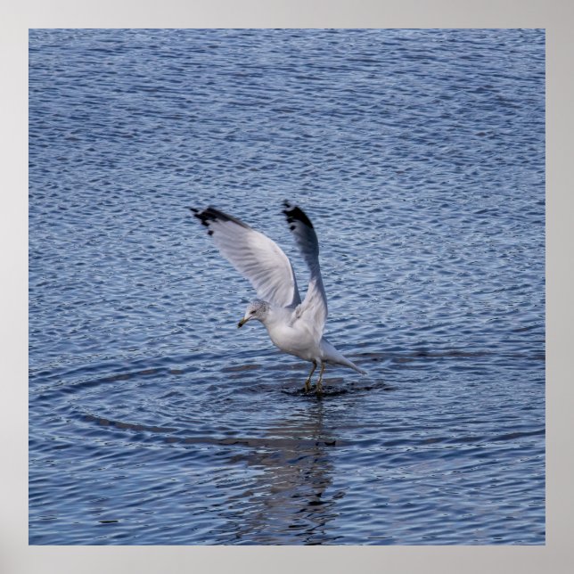 Poster Hover (Frente)