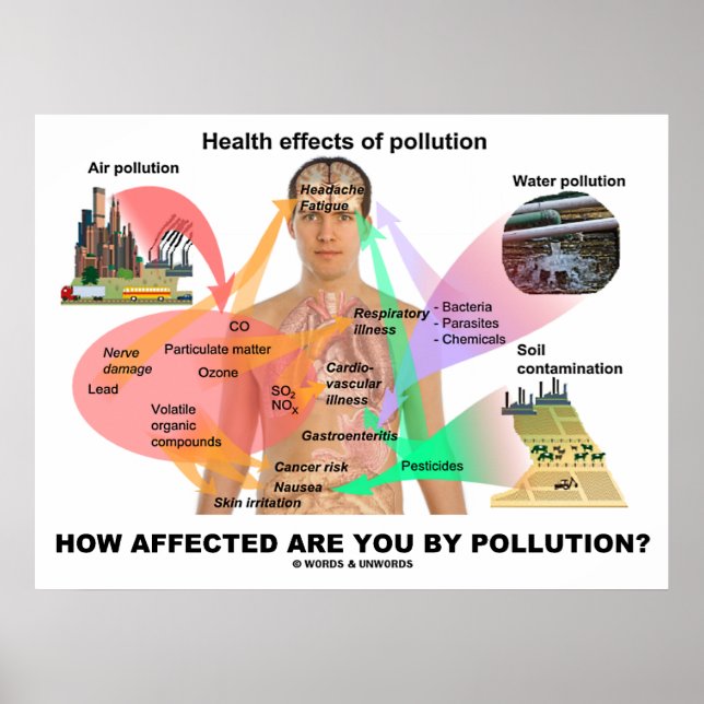 Pôster How Affected Are You By Pollution? (Physiology) (Frente)