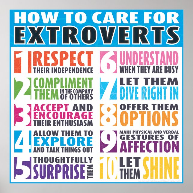 Poster How To Care For Extroverts (Frente)