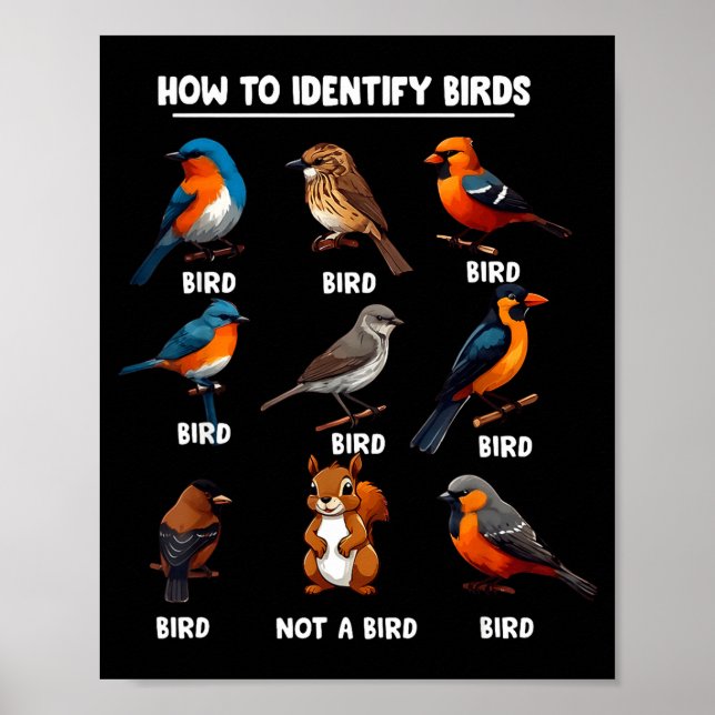 Poster How To Identify Birds Funny Birds Identification B (Frente)