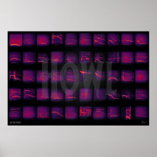 Poster Howl: A Língua Secreta dos Lobos