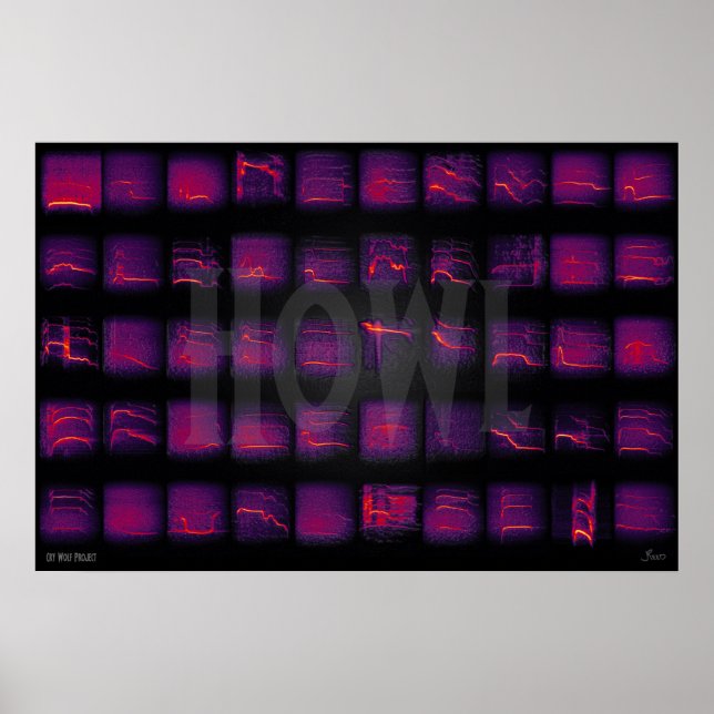 Poster Howl: A Língua Secreta dos Lobos (Frente)