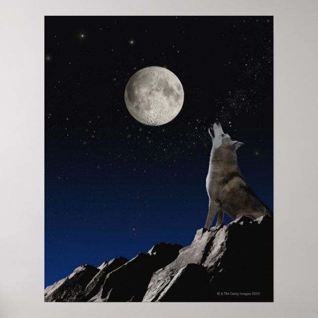 Poster Howling Wolf (Frente)