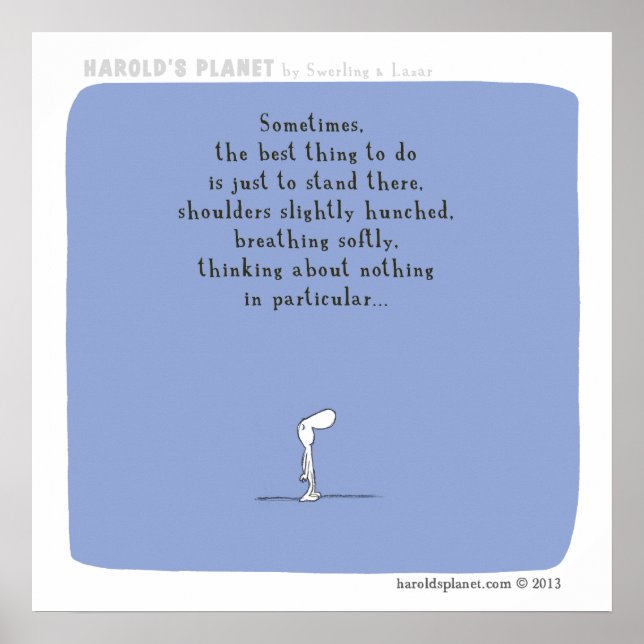 PÔSTER HP5029 (Frente)