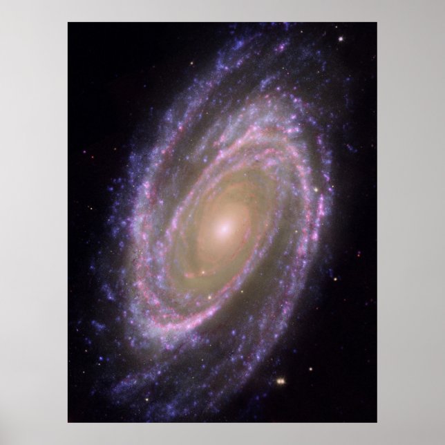 Pôster Hubble - Galex - Spitzer Imagem Composta da M81 (Frente)