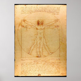 Pôster Human Anatomy, Vitruvian Man by Leonardo da Vinci