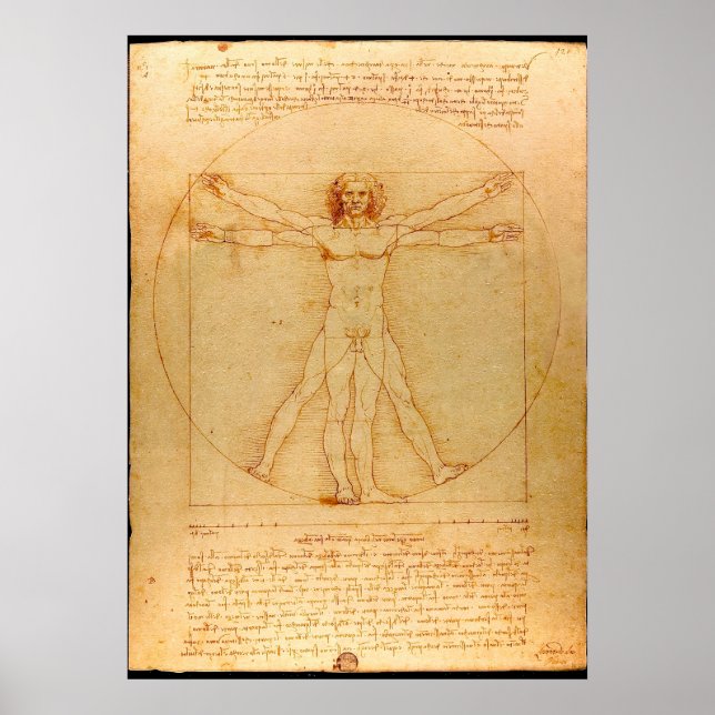 Pôster Human Anatomy, Vitruvian Man by Leonardo da Vinci (Frente)