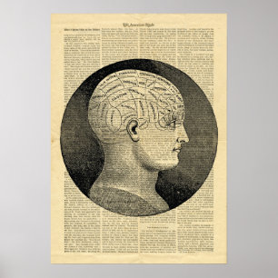 Poster Human Head Phrenology