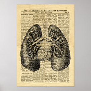 Poster Humano Pulmões Anatomia Antiquada no jornal
