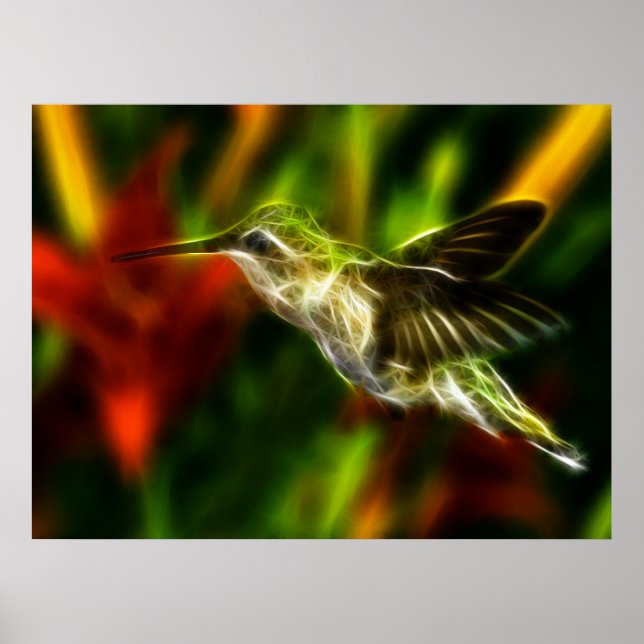 Poster Hummingbird (Frente)